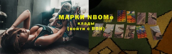 спиды Дмитриев