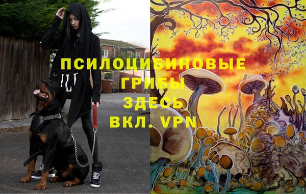 COCAINE Тихорецк