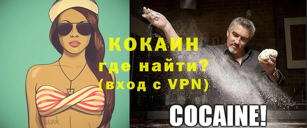 дживик Володарск