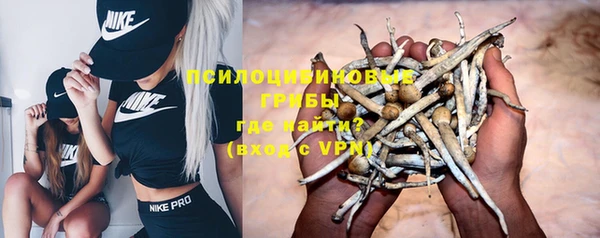 меф Дмитровск